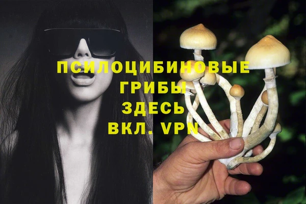 a pvp Балахна